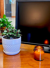 Load image into Gallery viewer, Poppy Petals & Patchouli Candle